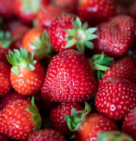 Aardbei 'Gorella' (Fragaria ananassa)
