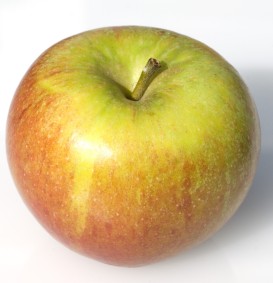 Appel 'Cox Orange Peppin' (Malus domestica)