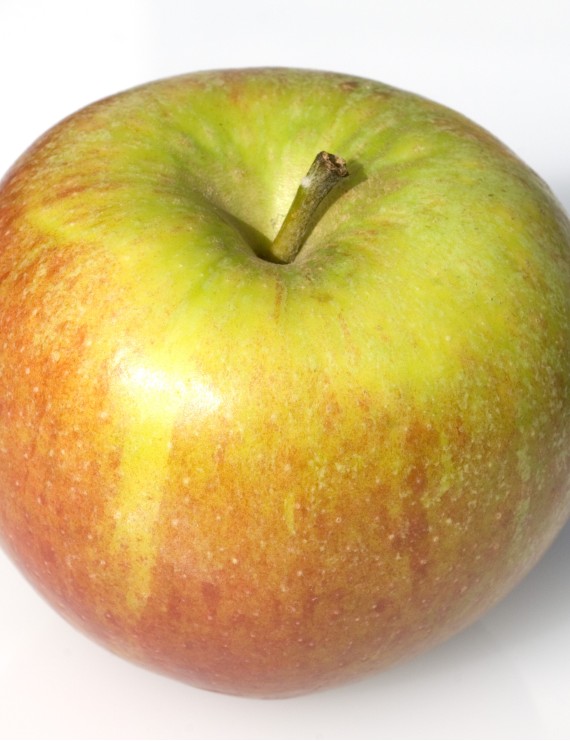 Appel 'Cox Orange Peppin' (Malus domestica)