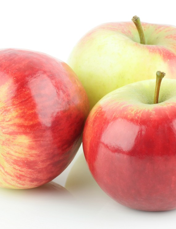 Appel 'Elstar'  (Malus domestica)