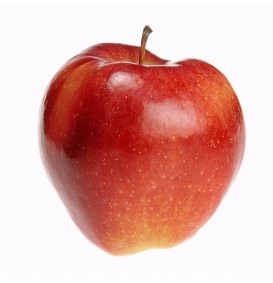 Appel 'Gloster' (Malus domestica)