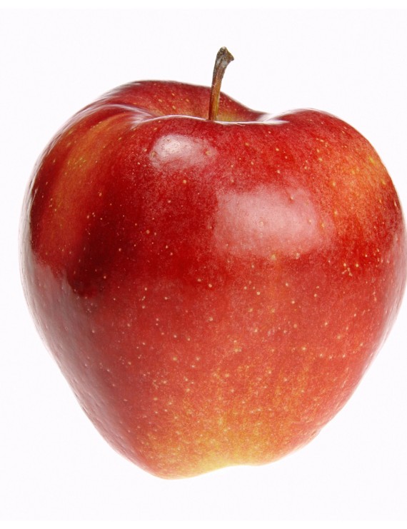 Appel 'Gloster' (Malus domestica)