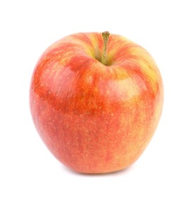 Appel 'Jonagold' (Malus domestica)
