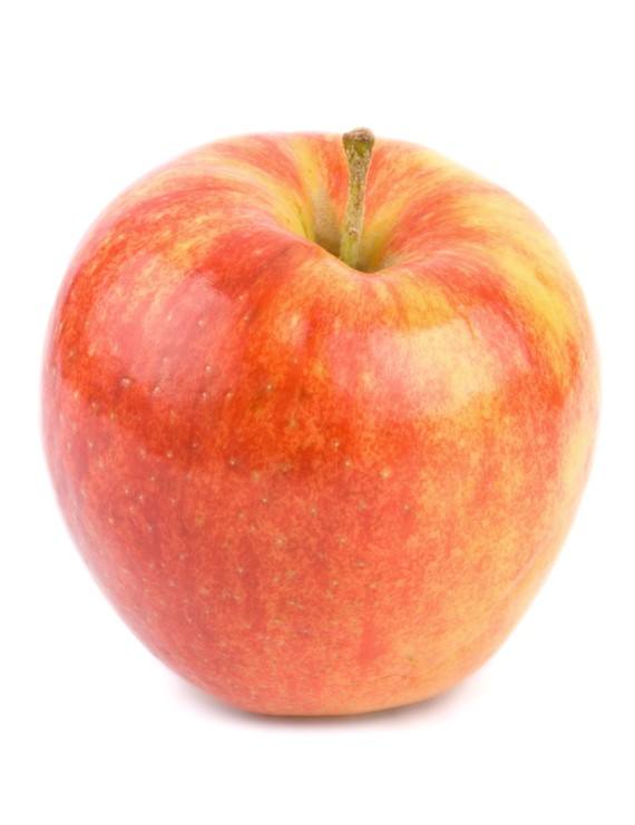 Appel 'Jonagold' (Malus domestica)