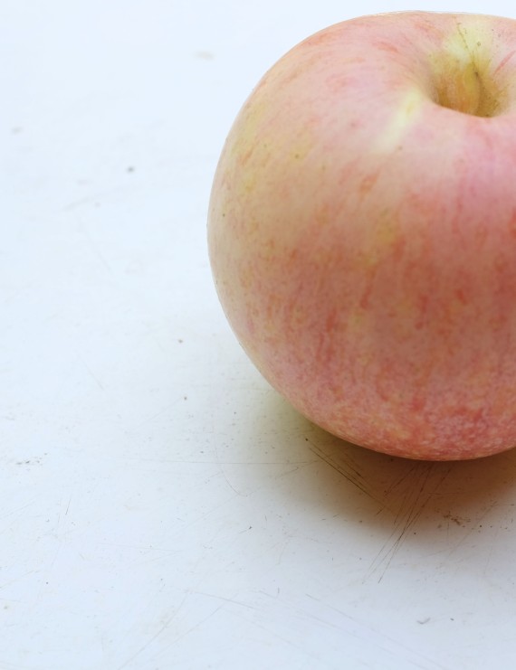 Appel (ballerina) 'Polka' (Malus domestica)