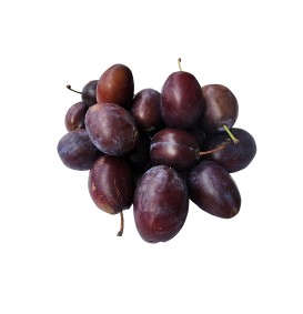 Pruim 'Monsieur Hatif' (Prunus domestica)