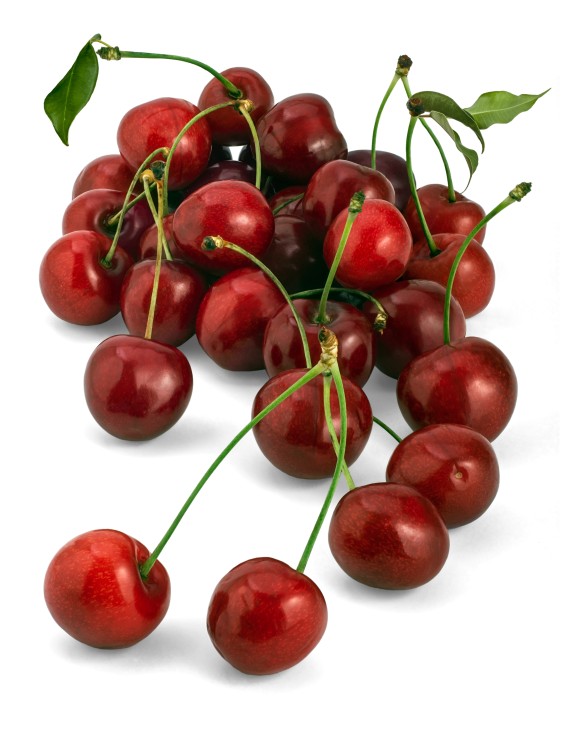 Kers 'Bigareau Van' (Prunus avium hybride)