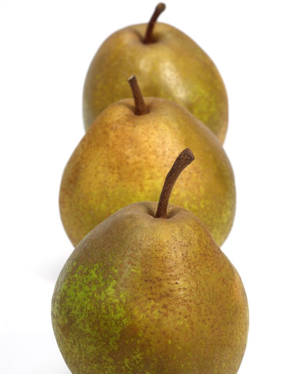 Peer 'Beurre Hardy' (Pyrus domestica)