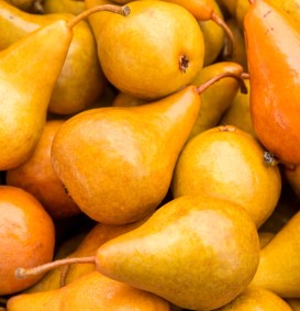 Peer 'Durandeau' (Pyrus domestica)